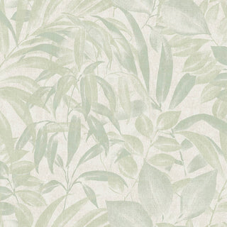 Caribbean II 8503-4