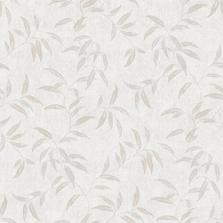 Caribbean II 8504-1