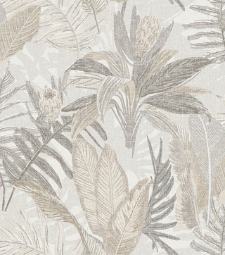 Caribbean II 8505-1