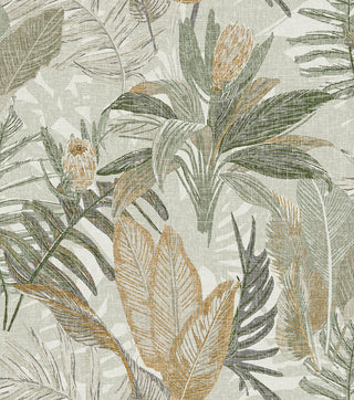 Caribbean II 8505-4