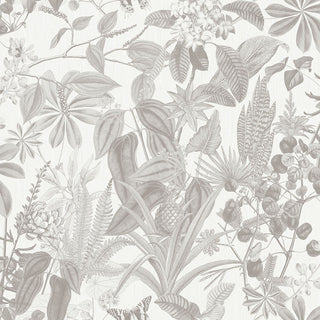 Caribbean II 8506-1