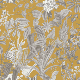 Caribbean II 8506-2