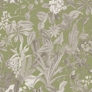 Caribbean II 8506-4