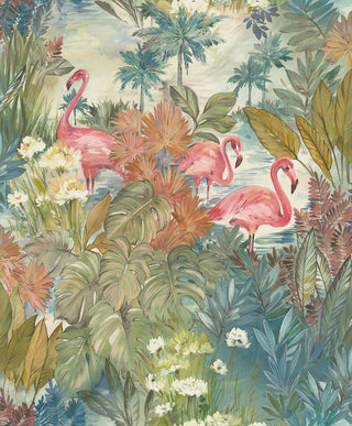 Amazonia 91260
