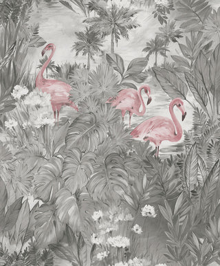 Amazonia 91261