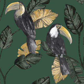 Amazonia 91340