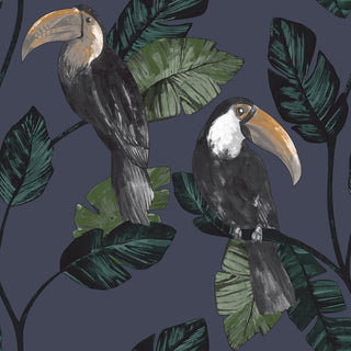 Amazonia 91343