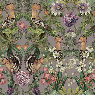 Xanadu 91561