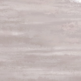 Xanadu 91571
