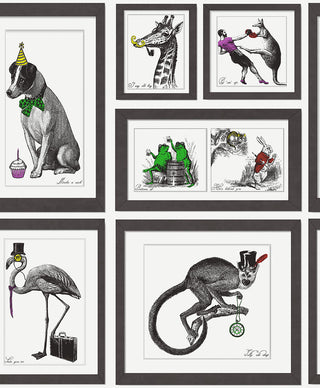 Imaginarium 2 97921