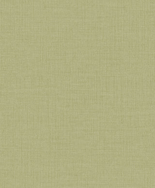 Alice A1014