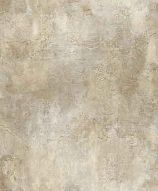 Alice A1204