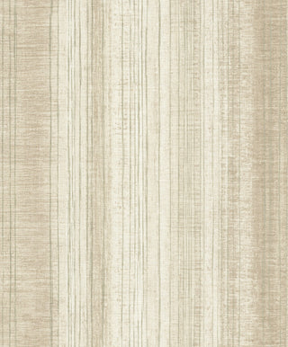 Malika A47606
