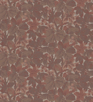 Modern Classics II 359-68