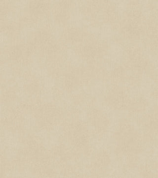 Blend 363056