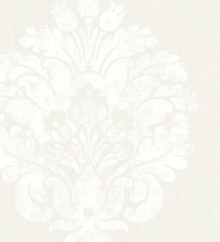 Bloom 340053