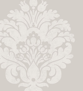 Bloom 340054