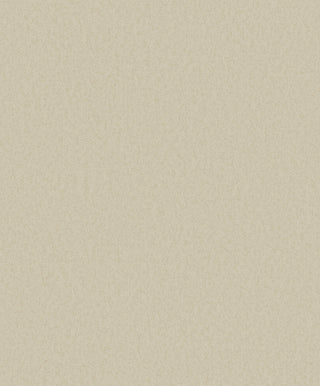 Timeless Colours DC30135