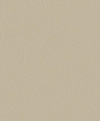 Timeless Colours DC30143