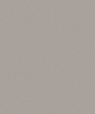 Timeless Colours DC30145