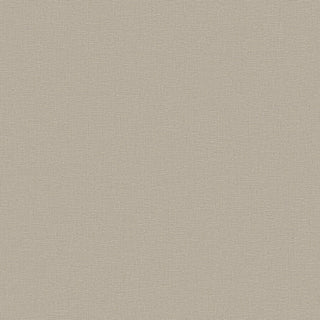 Timeless Colours DC30181