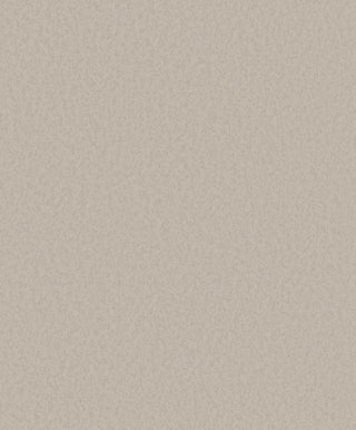 Timeless Colours DC30241