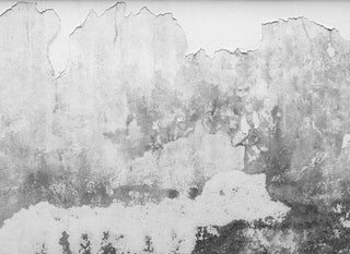 Designwalls DD118766