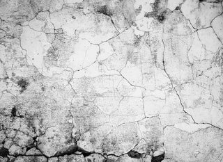 Designwalls DD118768