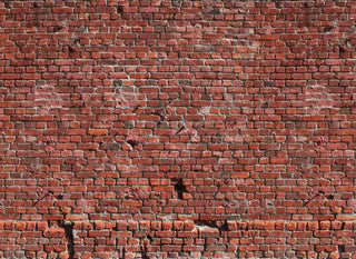 Designwalls DD118784