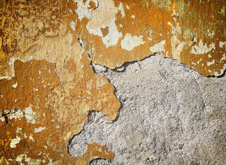 Designwalls DD118787