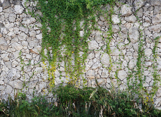 Designwalls DD118793