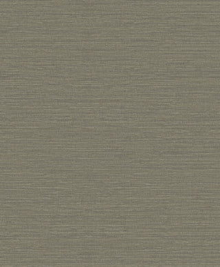 Boutique F-FG6010