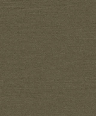 Boutique F-PY6007