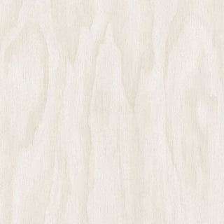 Geonature 366008