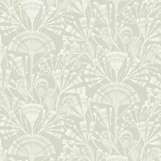 Geonature 366011