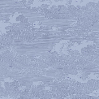 Geonature 366062