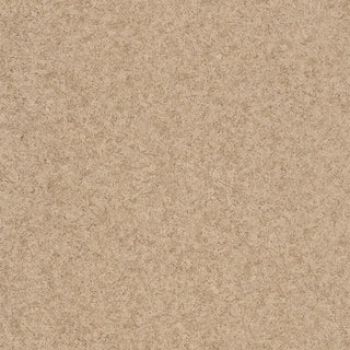 Geonature 366090
