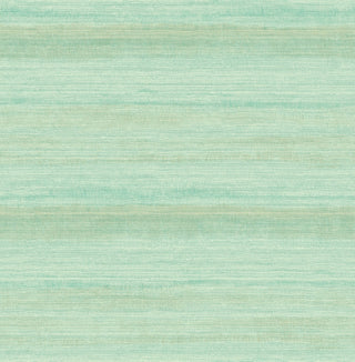 Jasmine JA32502