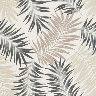 Kaia K6201