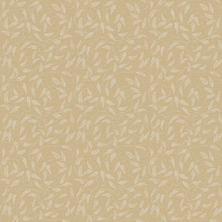 Off the Wall LB25163
