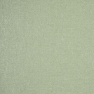 Archive M1695