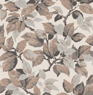 Ashdown M1806