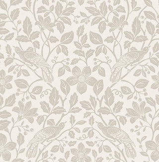 Ashdown M1815