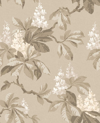 Ashdown M1820
