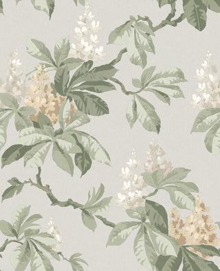Ashdown M1821
