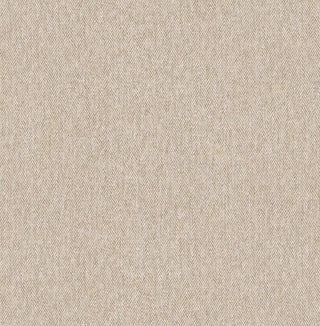 Ashdown M1825
