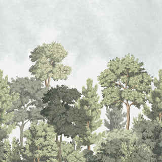 Ashdown MN50944