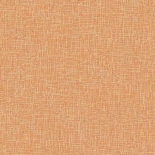Maui Maui TP81128