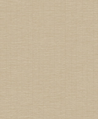 Shaped Spaces S0301