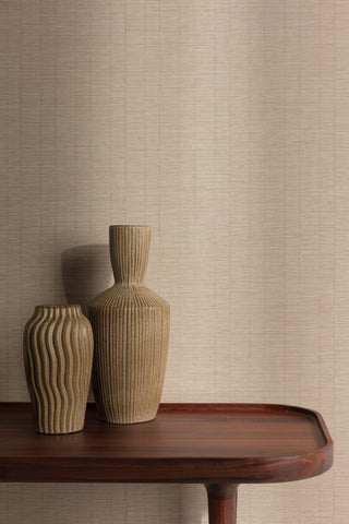 Shaped Spaces S0301